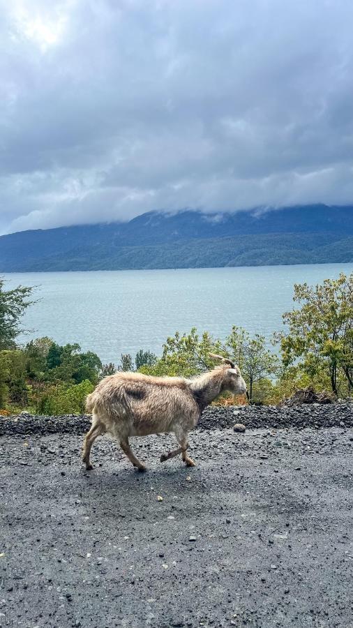 Chalé Cabana De Montana A Orillas Del Lago Inferior Llanada Grande
